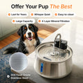 The PET Fountain