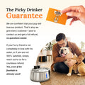 The PET Fountain