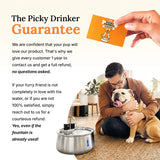 The PET Fountain